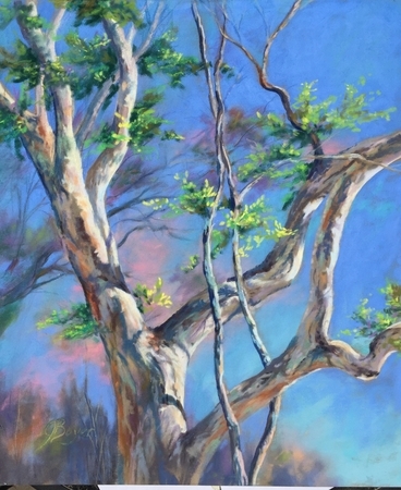 Forever Entwined