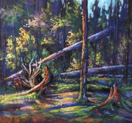 Forest Wonderland