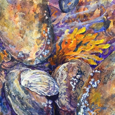 Sea Shell