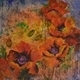 Poppy Choir